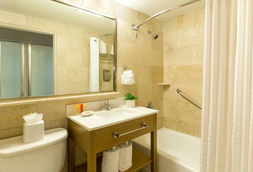 带大床的标准间, Best Western Plus Atlantic Beach Resort