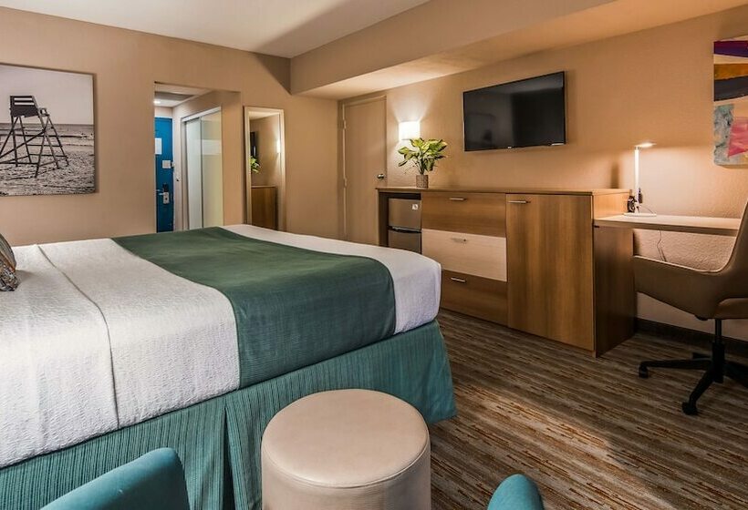 标准间带双人床, Best Western Plus Atlantic Beach Resort
