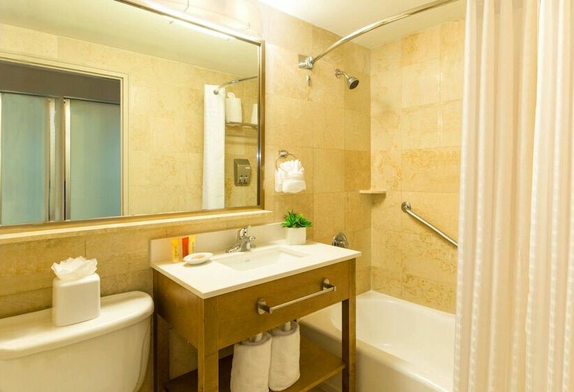 标准间带双人床, Best Western Plus Atlantic Beach Resort