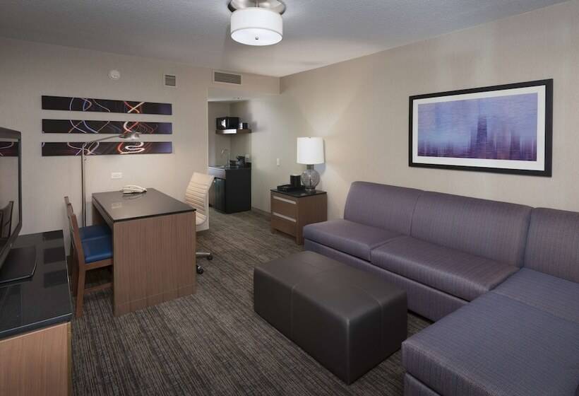 سوئیت برای معلولان, Embassy Suites By Hilton Chicago Downtown Magnificent Mile