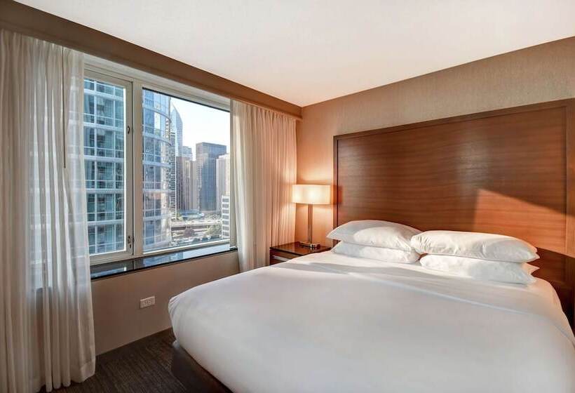 سوئیت برای معلولان, Embassy Suites By Hilton Chicago Downtown Magnificent Mile