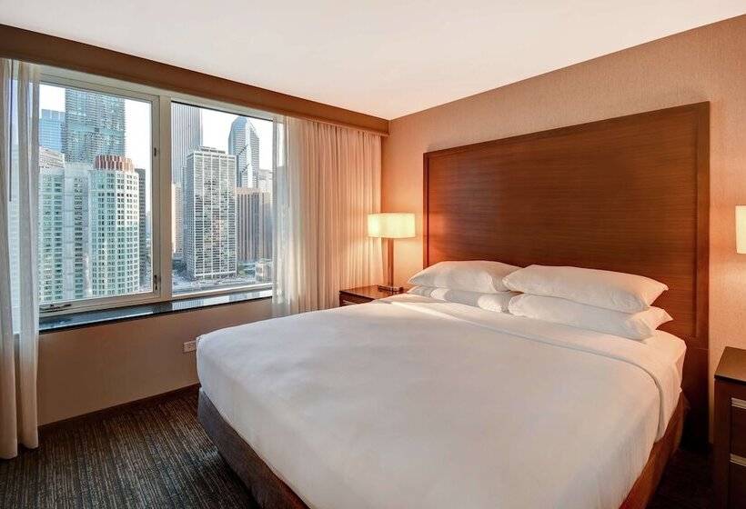 مجموعه ویستا شهر, Embassy Suites By Hilton Chicago Downtown Magnificent Mile
