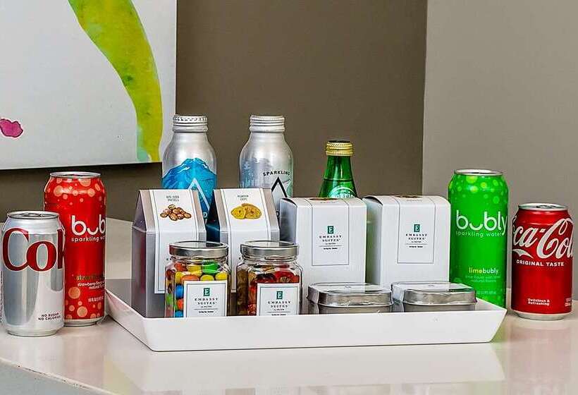 سوئیت با تخت بزرگ, Embassy Suites By Hilton Chicago Downtown Magnificent Mile