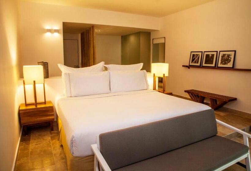 اتاق استاندارد با تخت بزرگ, The Explorean Cozumel - All Inclusive