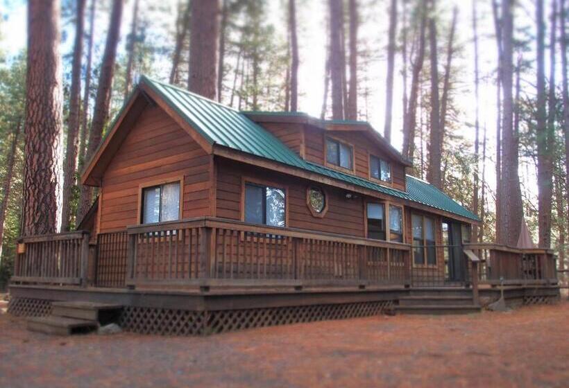 Хижина, Cold Springs Resort