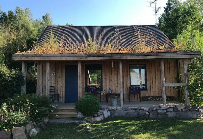 Номер Стандарт, Tuvagård B&b Vindhästar