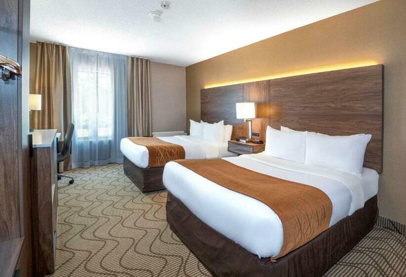 Номер Стандарт 2 Двуспальные Кровати, Comfort Inn Lakeshore