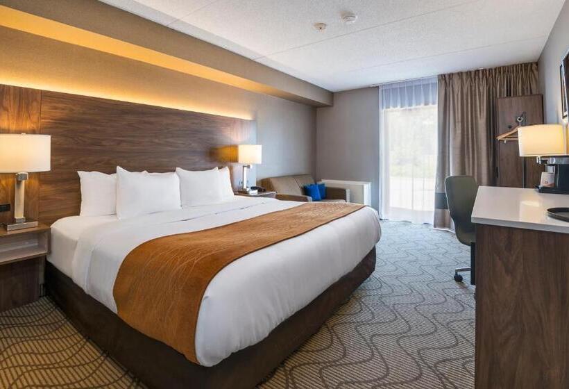 Стандартный Номер Нижний Этаж, Comfort Inn Lakeshore
