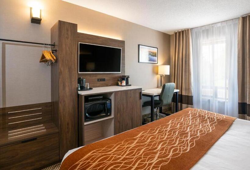 Стандартный Номер Нижний Этаж, Comfort Inn Lakeshore