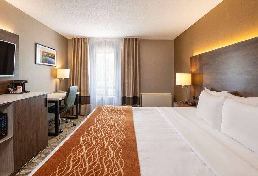 Стандартный Номер Кровать Кинг, Comfort Inn Lakeshore