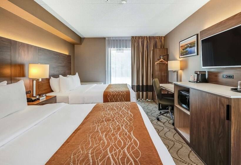 Стандартный Номер Нижний Этаж, Comfort Inn Lakeshore