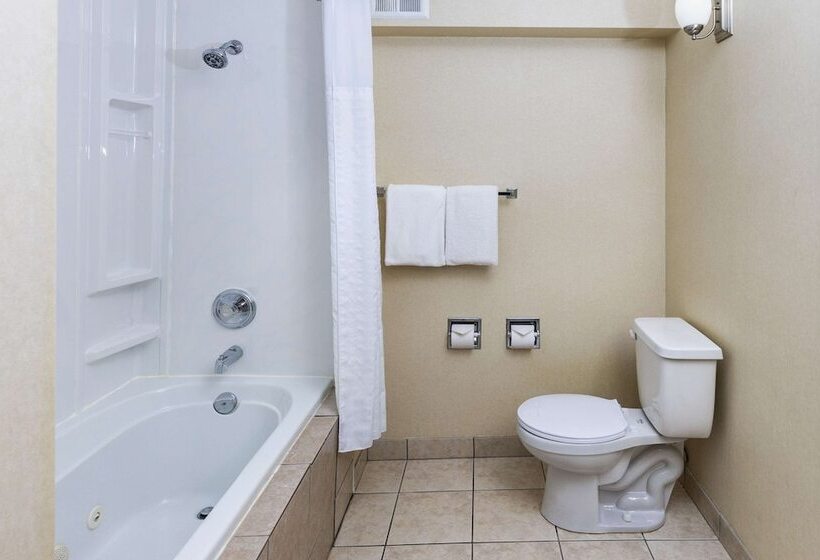 ２ダブルベッドのスタンダードルーム, Comfort Inn & Suites