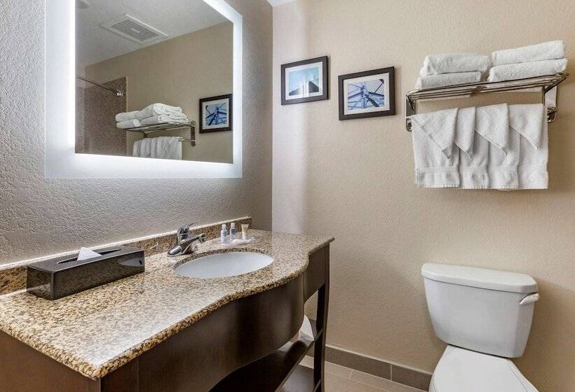 Люкс Кровать Квин, Comfort Suites Phoenix Airport