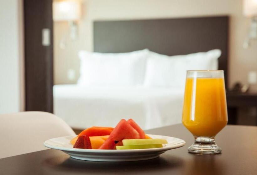 キングサイズベッドのスタンダードルーム, Fiesta Inn Periferico Sur
