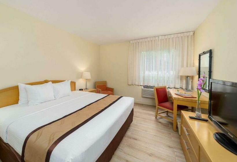 Номер Стандарт Кровать Кинг Адаптированный для Инвалидов, Quality Hotel Real Aeropuerto San Salvador