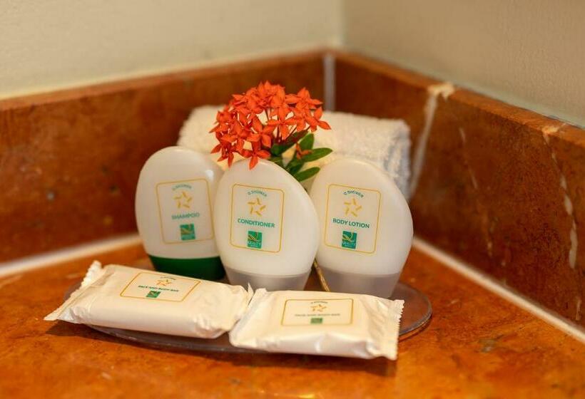 Номер Стандарт 2 Двуспальные Кровати, Quality Hotel Real Aeropuerto San Salvador