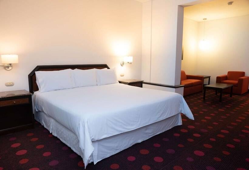 Студия Стандарт Двуспальная Кровать, Radisson Hotel San Isidro
