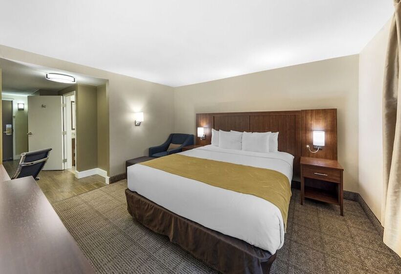 Люкс, Comfort Suites