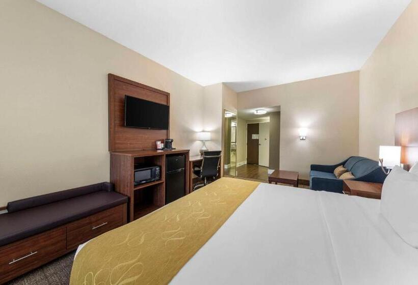 Люкс Кровать Кинг, Comfort Suites