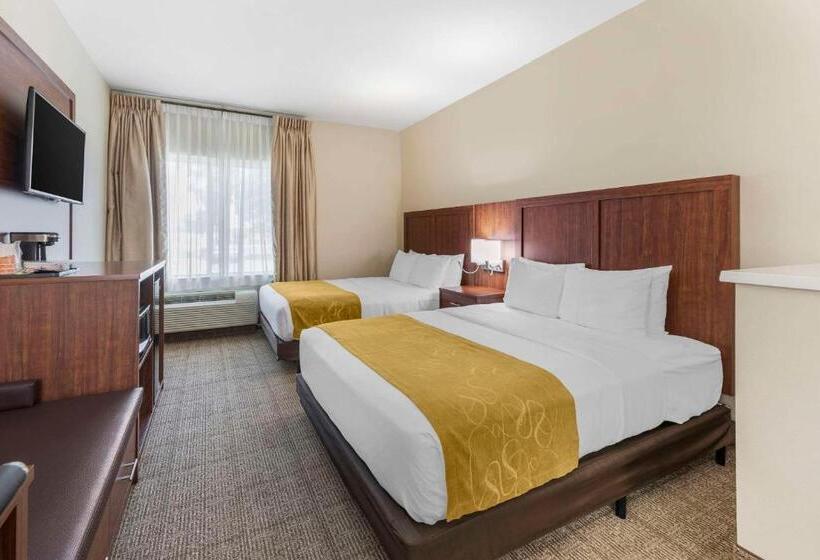 Номер Стандарт Адаптированный для Инвалидов, Comfort Suites
