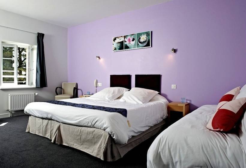 Номер Deluxe, Logis Hotel Belle Vue