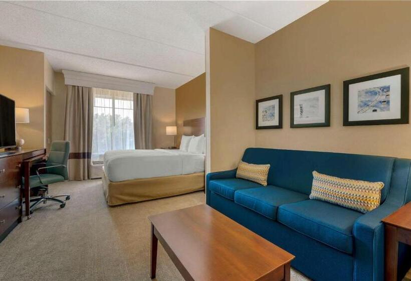 سوئیت برای معلولان, Comfort Suites Near Universal Orlando Resort