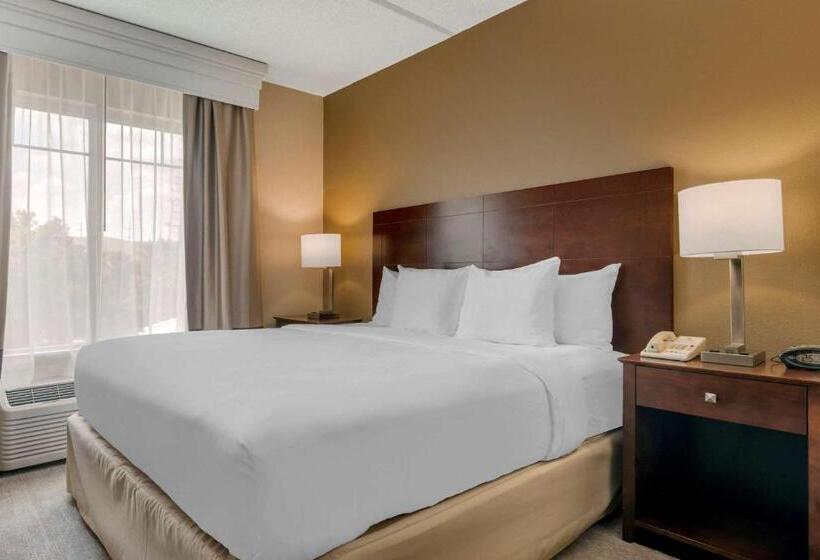 سوئیت با تخت بزرگ, Comfort Suites Near Universal Orlando Resort