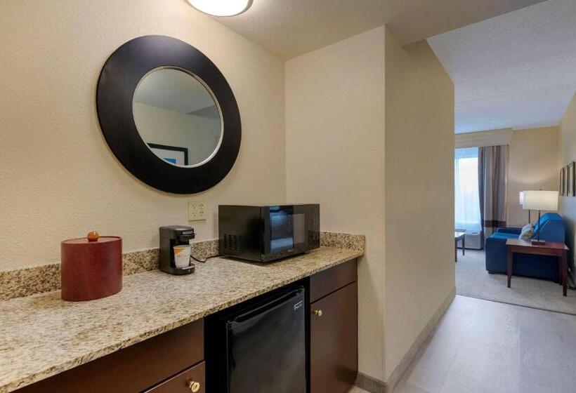 سوئیت با تخت بزرگ, Comfort Suites Near Universal Orlando Resort