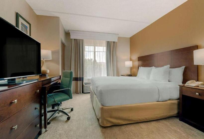 اتاق استاندارد با تخت بزرگ برای معلولان, Comfort Suites Near Universal Orlando Resort