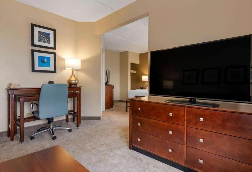 سوئیت با تخت بزرگ, Comfort Suites Near Universal Orlando Resort