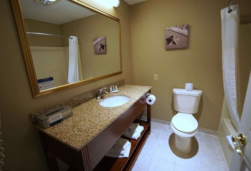 غرفه قياسيه سريرين مزدوجين, Quality Inn & Suites Georgetown Seaford