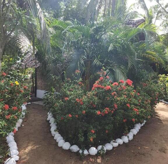 Номер Стандарт, Big Bamboo Beach Resort Sipalay
