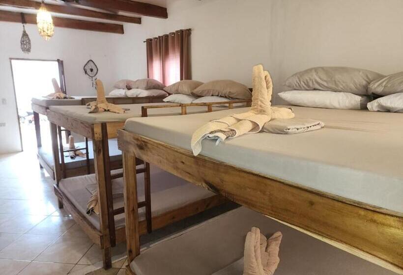 Семейное Студио, Big Bamboo Beach Resort Sipalay