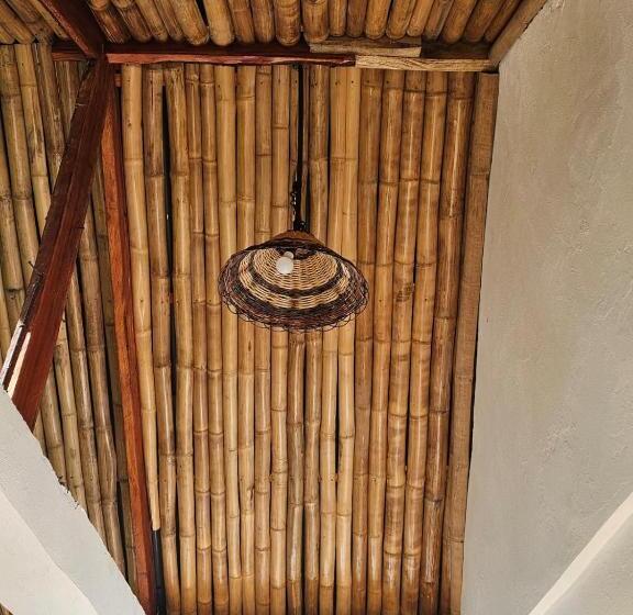 Номер Deluxe, Big Bamboo Beach Resort Sipalay