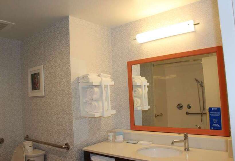 장애인을 위한 스탠다드 룸, Hampton Inn & Suites Franklin Indianapolis