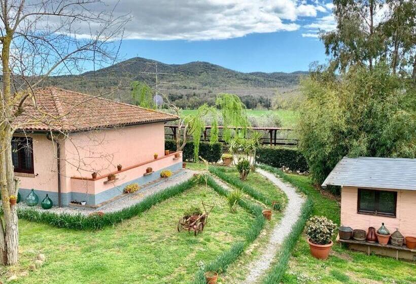 Номер Стандарт Вид на Бассейн, Agriturismo La Talpa