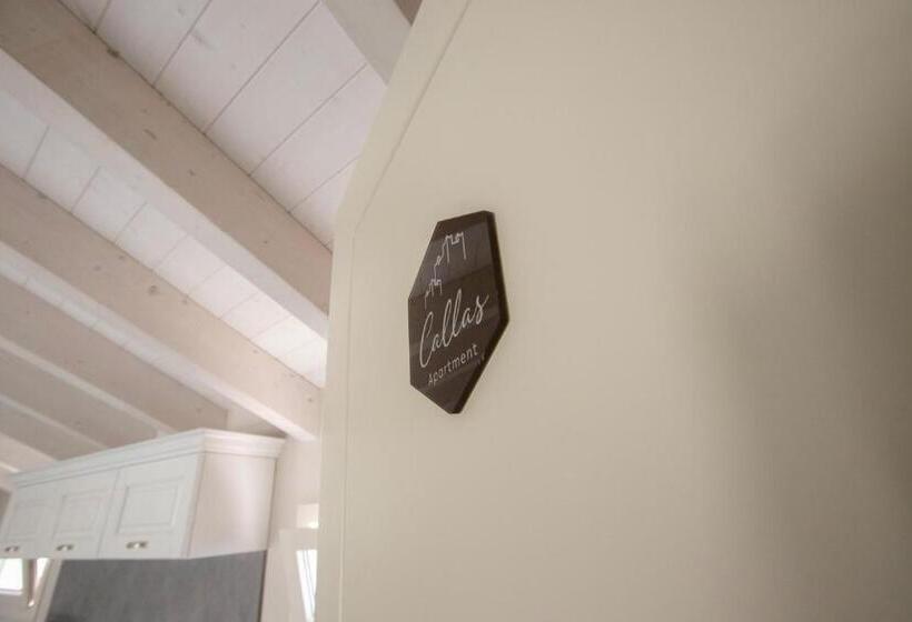Номер Стандарт, San Lorenzo Apartments