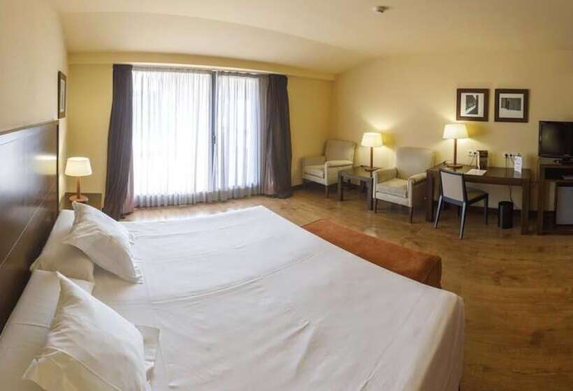 Полулюкс, Gran Hotel Ciudad De Barbastro