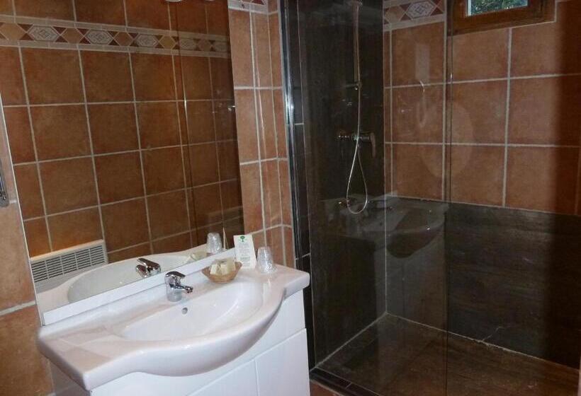 Номер Стандарт с Террасой, Les Cèdres