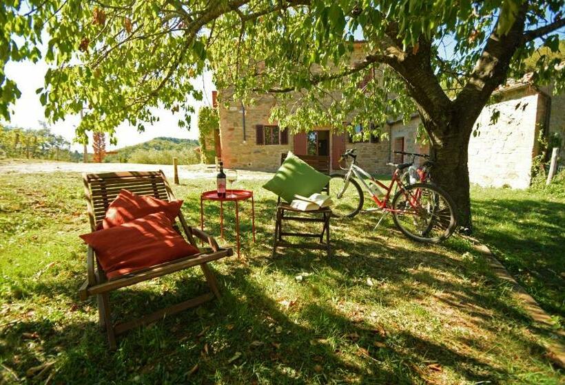 Апартаменты 1 Спальня Нижний Этаж, Azienda Agricola Di Fietri
