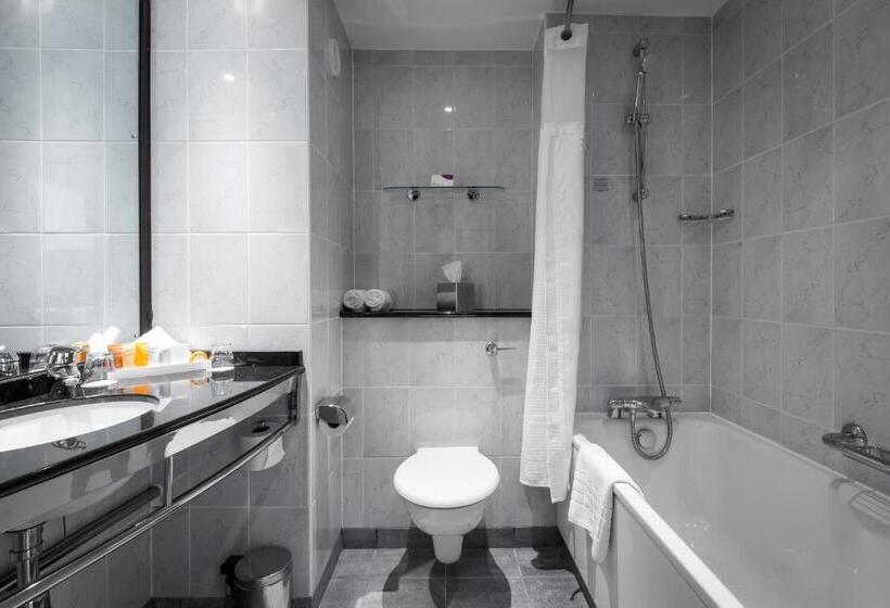 스탠다드 룸 호수 전망, Crowne Plaza Birmingham Nec, An Ihg