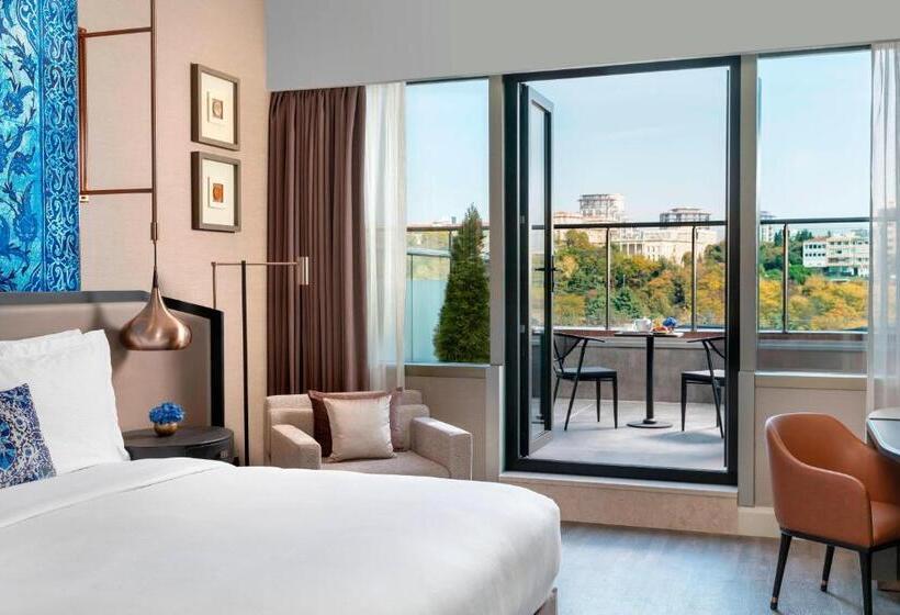 اتاق استاندارد با چشم‌انداز پارک, The Ritz Carlton, Istanbul At The Bosphorus