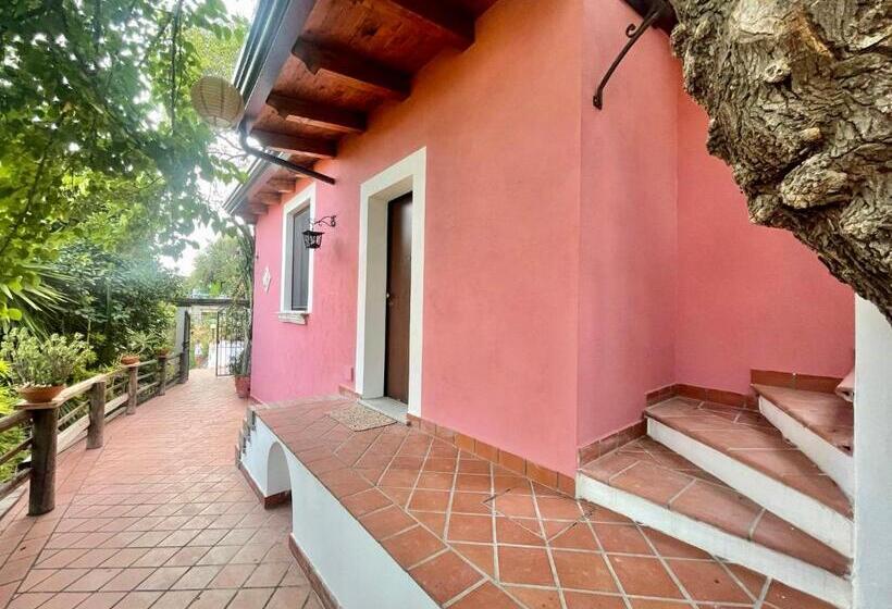 Студия Superior, B&b Villa Vittoria