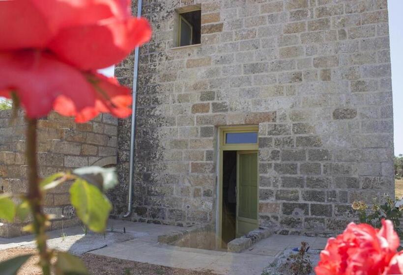 Номер Стандарт с Террасой, Casina Spiggiano Agriturismo