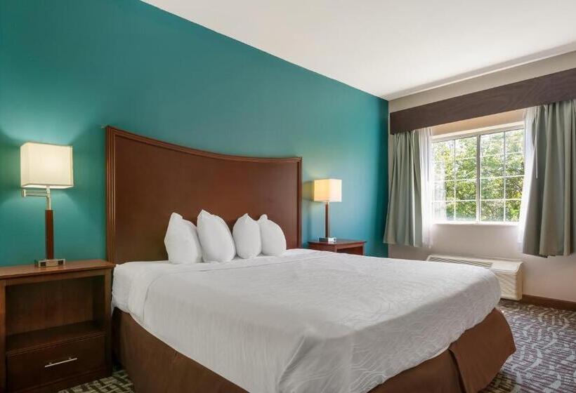 Стандартный Номер Кровать Кинг, Surestay Plus Hotel By Best Western Topeka