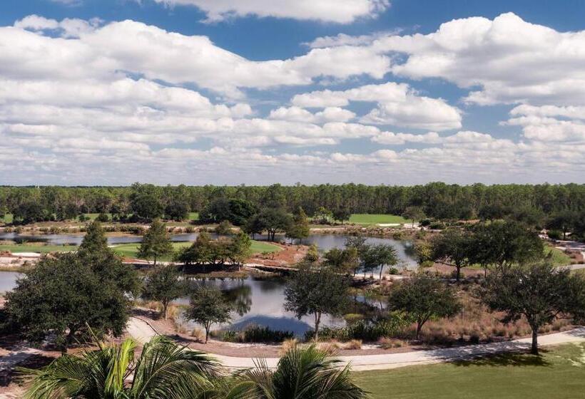 带2个双人床的标准工作室, The Ritzcarlton Naples, Tiburón