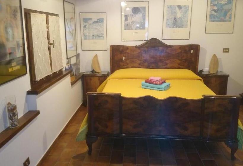 Номер Стандарт, Casale Civetta