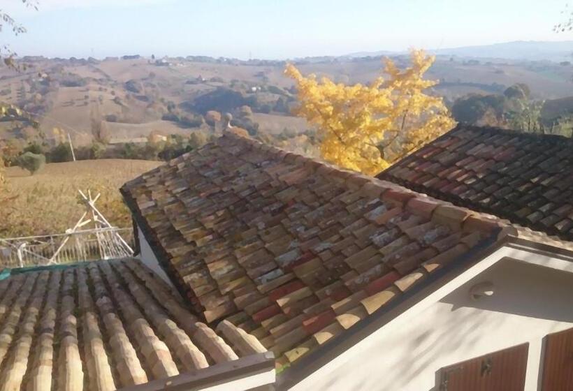 Номер Стандарт, Casale Civetta
