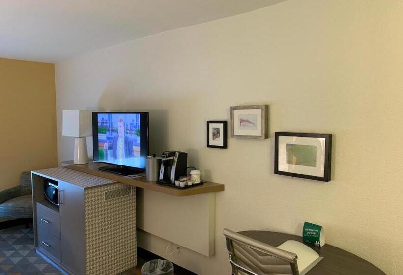 장애인을 위한 킹사이즈 침대 스탠다드 룸, Holiday Inn Baton Rouge South, An Ihg