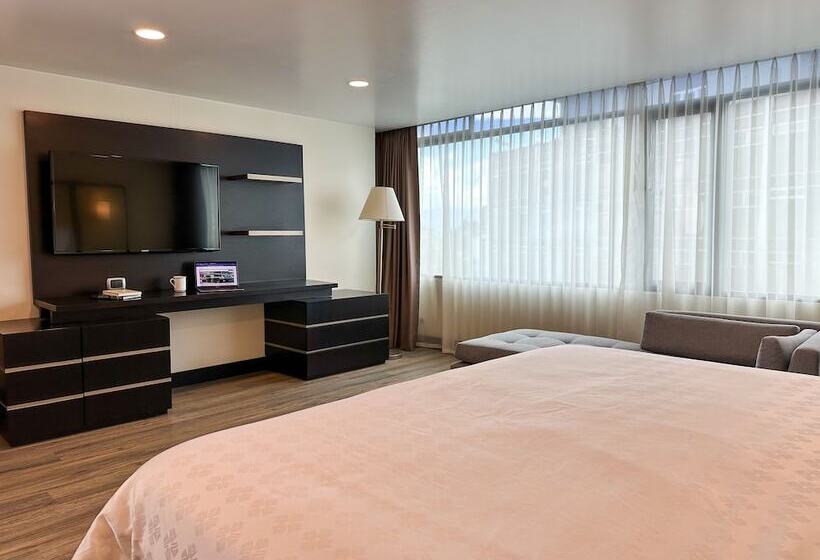 주니어 스위트, Wyndham Garden Quito